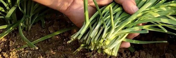 tank_btc Profile Banner