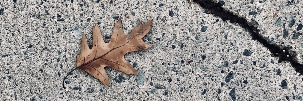 wda322's profile banner image