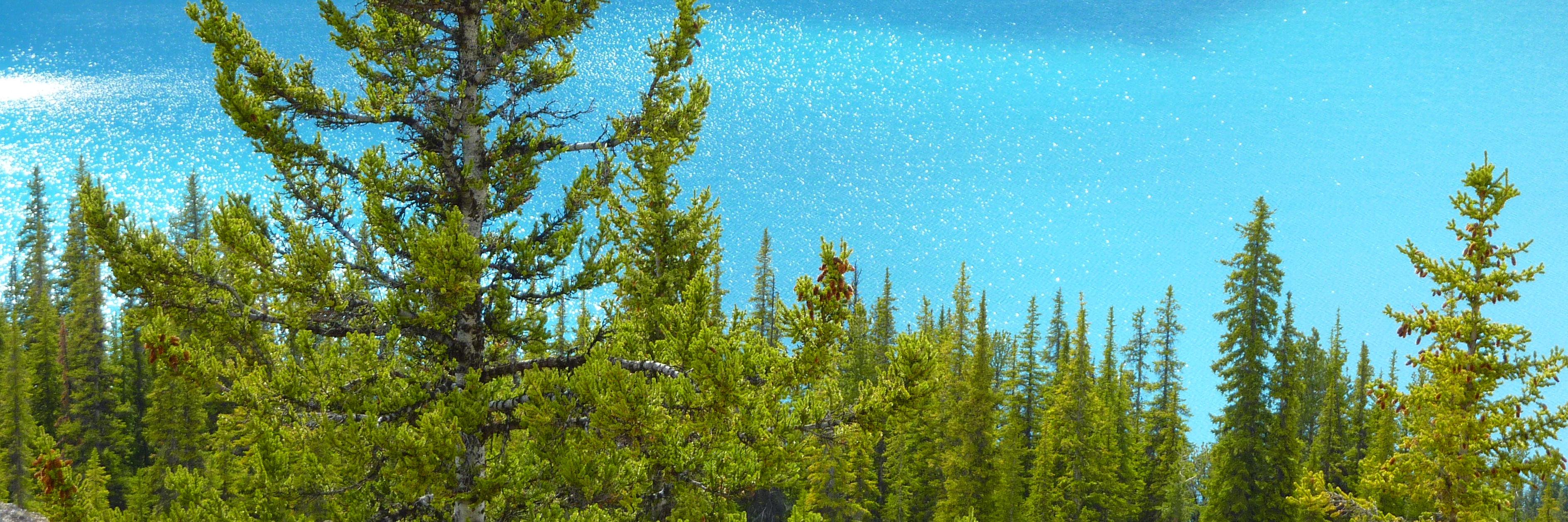 sam_strachan's profile banner image