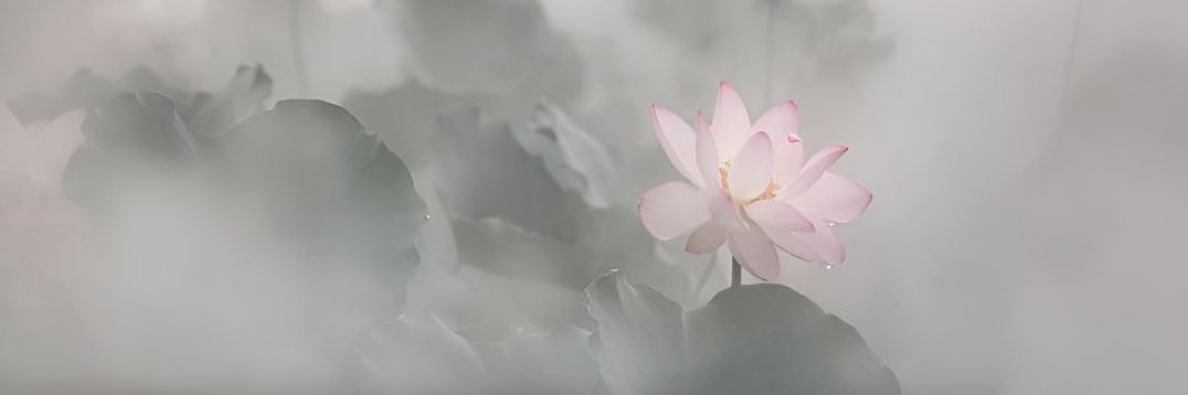 E. 𝜗𝜚 | mt after dm! banner