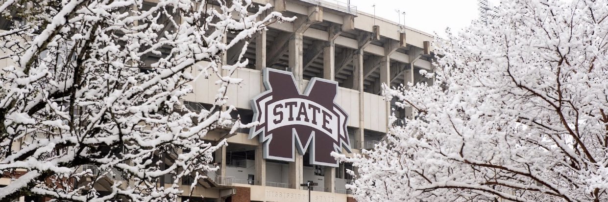 MissStateHomer banner