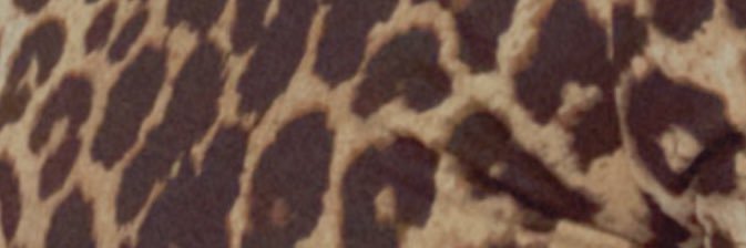 _addilovee's profile banner image