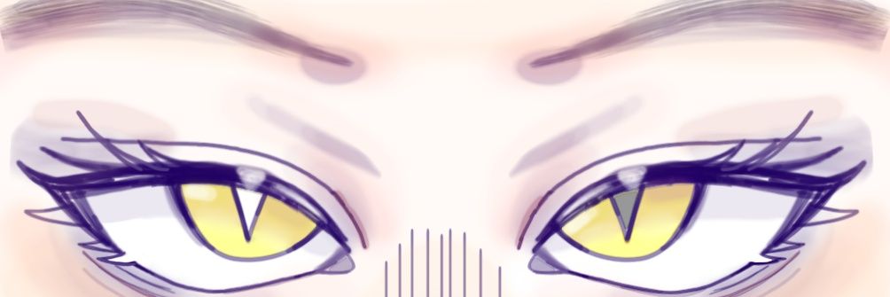 zeroskelv's profile banner image