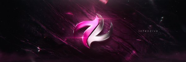 InTenZiveEU Profile Banner
