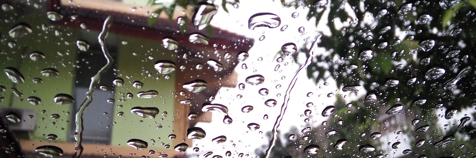 nianyaa's profile banner image