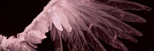 copiumno4141454 Profile Banner