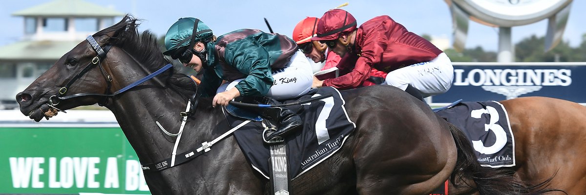 PDJCoffey's profile banner image