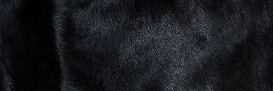 OBSID MEN 💛 banner