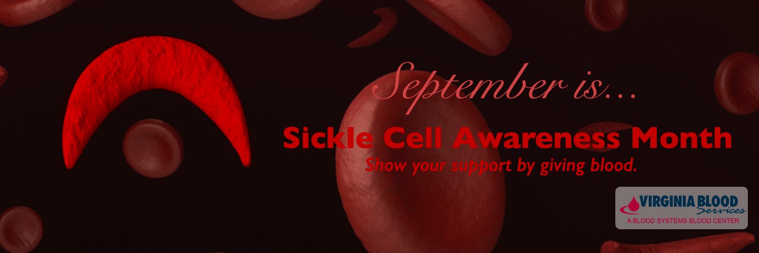 VA Blood Services banner