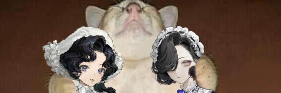 Qua's banner