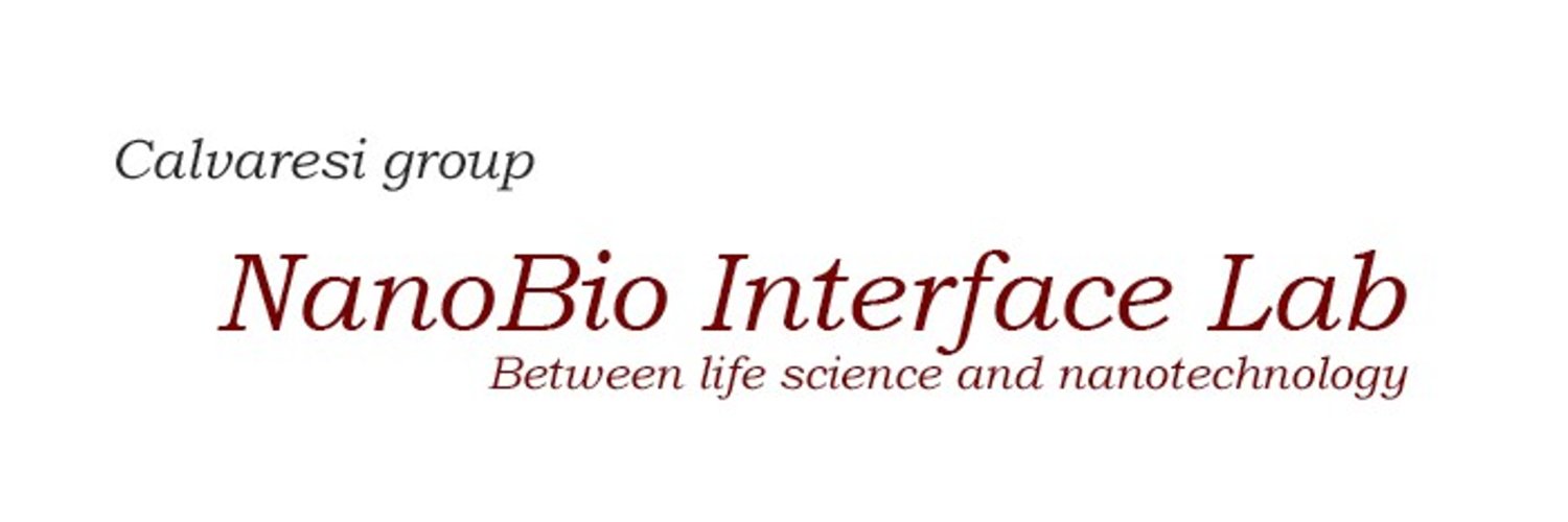 Alessandro Calza banner