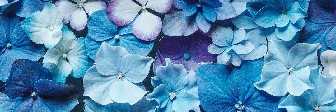 aykanagawa's profile banner image