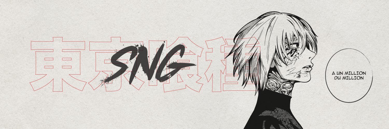 SNG banner