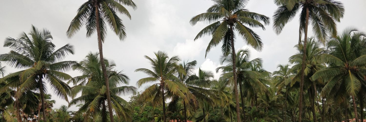 raviranjan's profile banner image