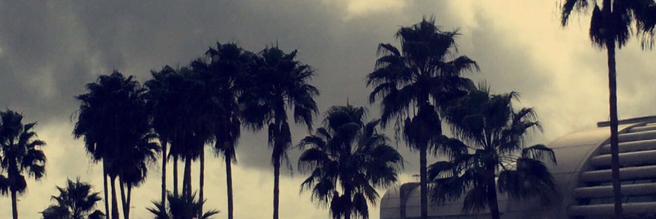 SIERRAYahLater_'s profile banner image