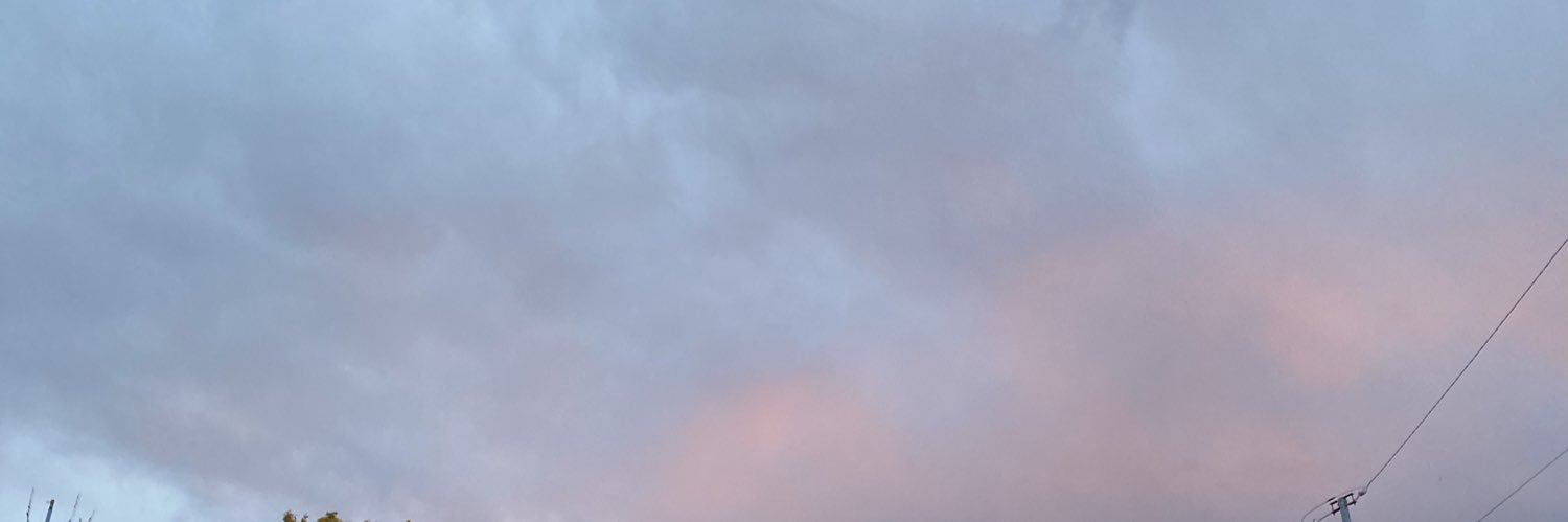 qexlly's profile banner image