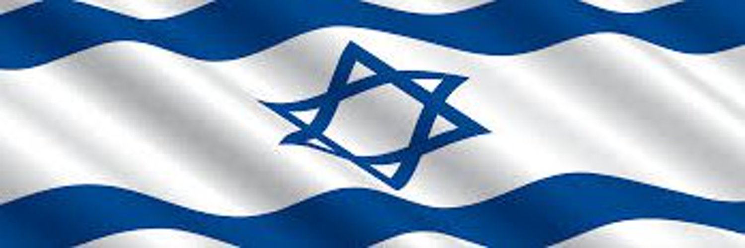 Jewish Partisan 🇮🇱🎗️🟦 Profile Banner