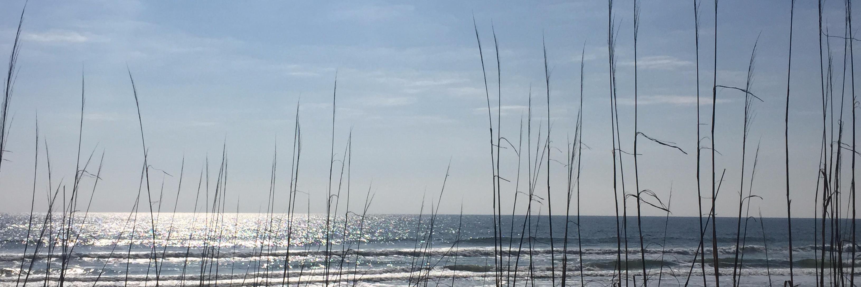ssumner's profile banner image