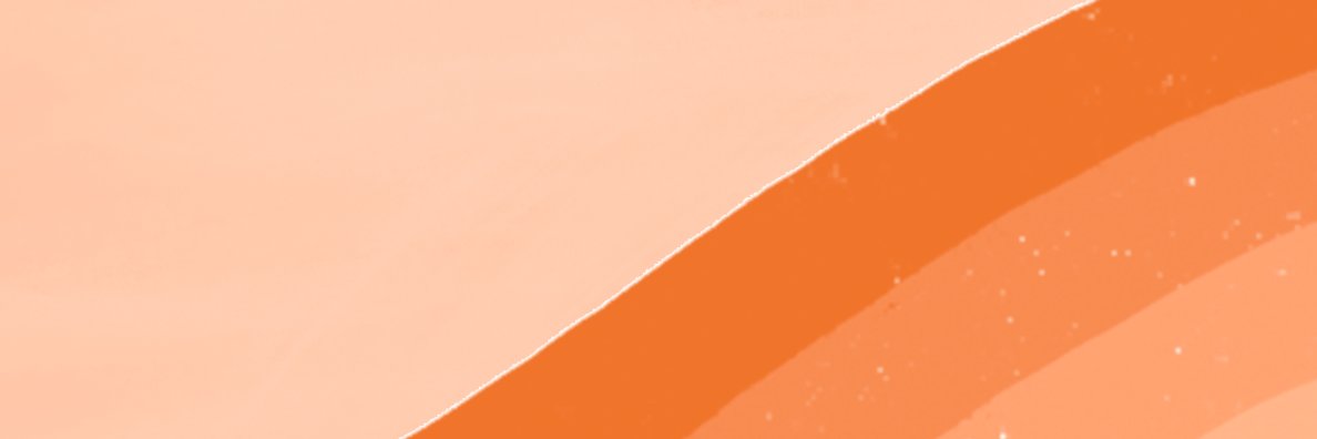 Ted 🐻 banner