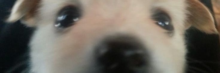 y_ooqu's profile banner image
