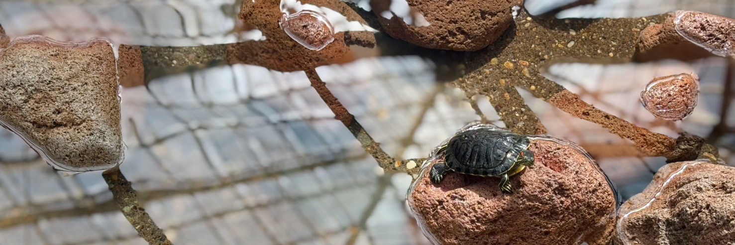 らららのら banner