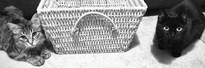 NotaPop_Planner's profile banner image