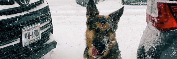 myitalianhell Profile Banner