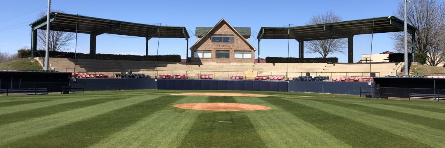 Northeast Texas Baseball banner