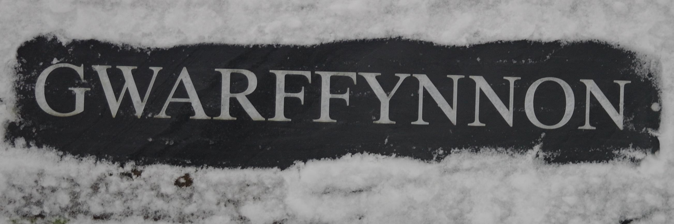 gwarffynnon's profile banner image