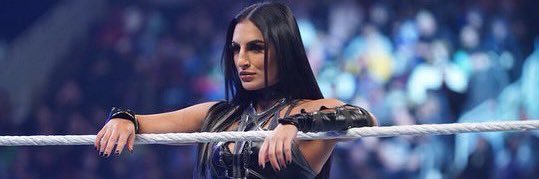 Pride With Fury banner