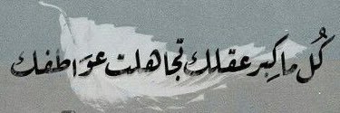 RONi banner