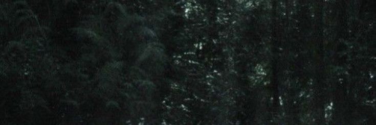 robocopgvy's profile banner image