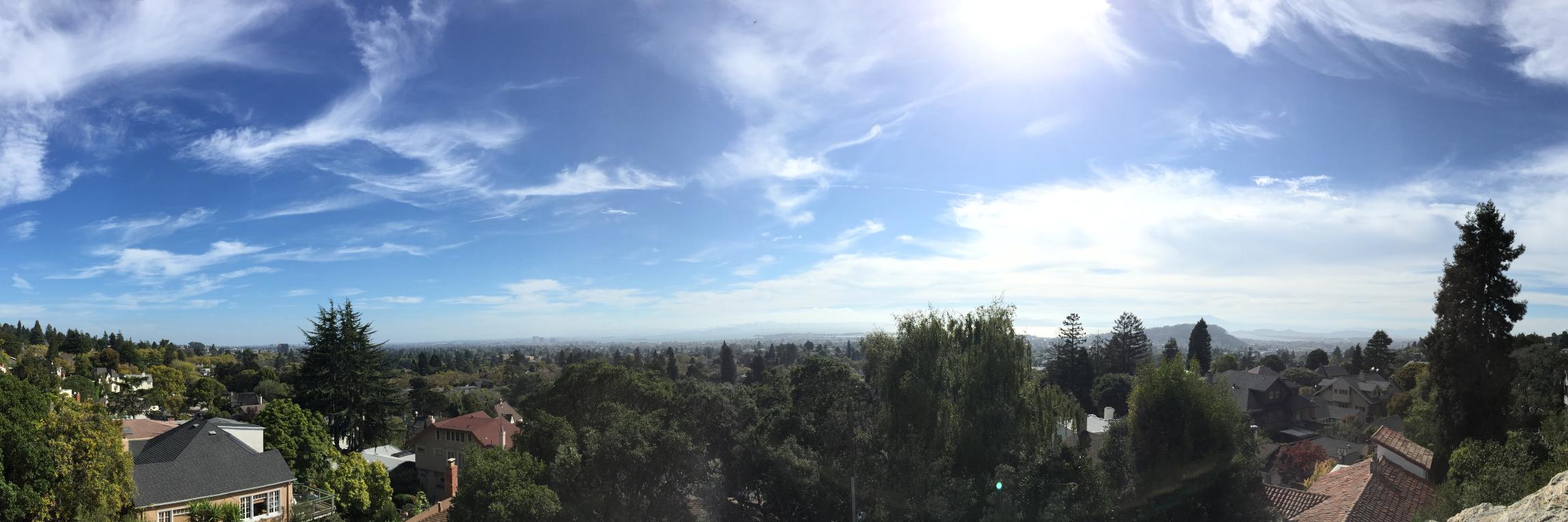 Kiki Kalkstein banner