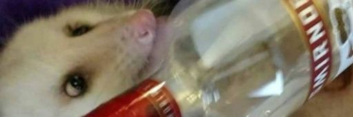 Reese_Reeves banner