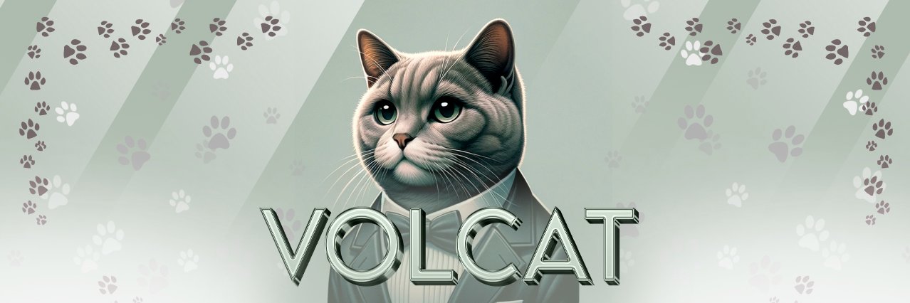 Volcat 🐱 banner