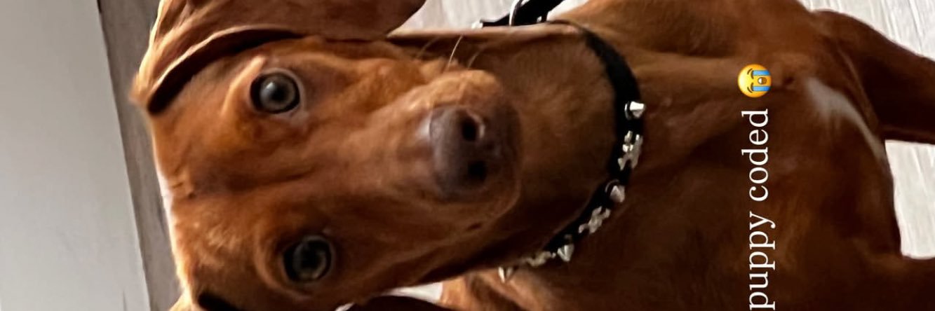YoungsonlyAngel's profile banner image