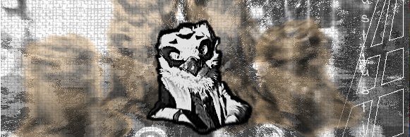 Echoes banner