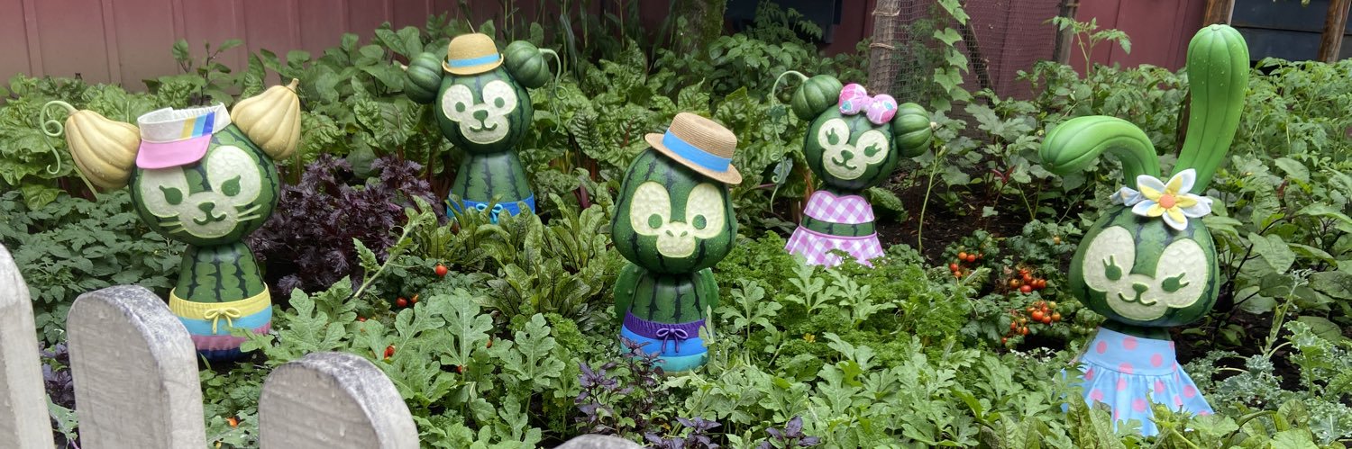 よんあ@a!29,6🌱 banner