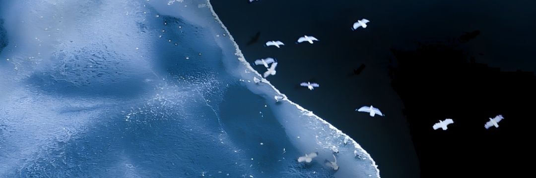 𝐀𝐛𝐝𝐮𝐥𝐚𝐳𝐢𝐳 banner