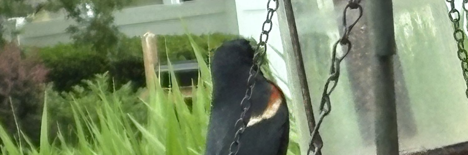 the new Chillin dude Batim banner