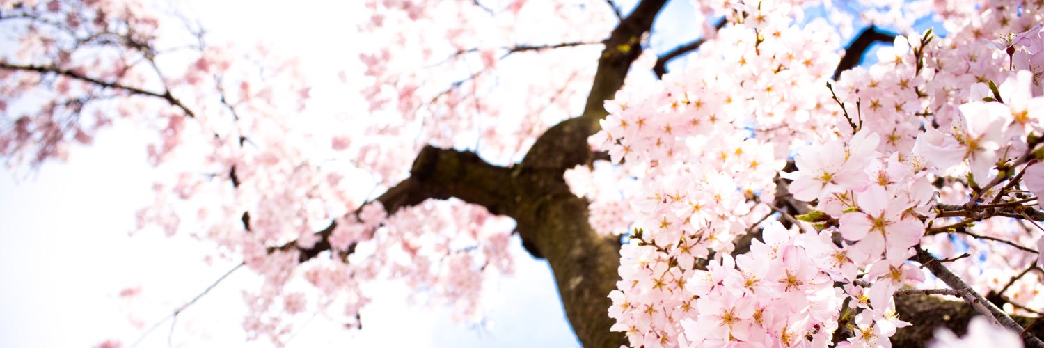 uhohoraeo's profile banner image