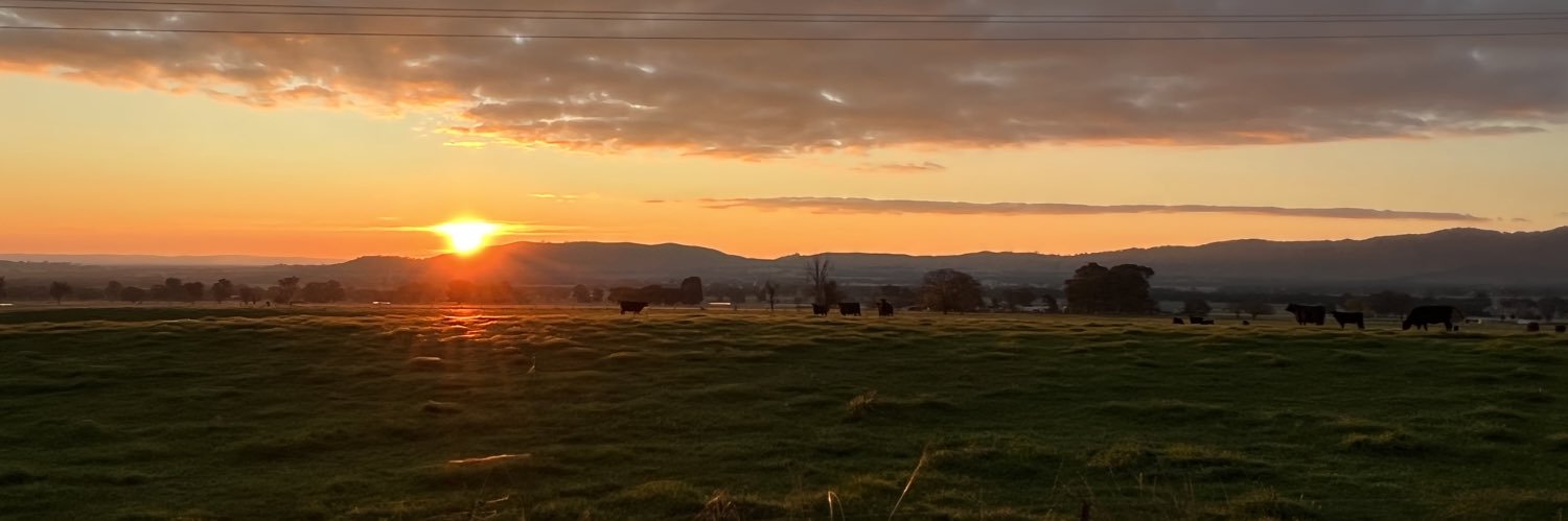 calmarshall2's profile banner image