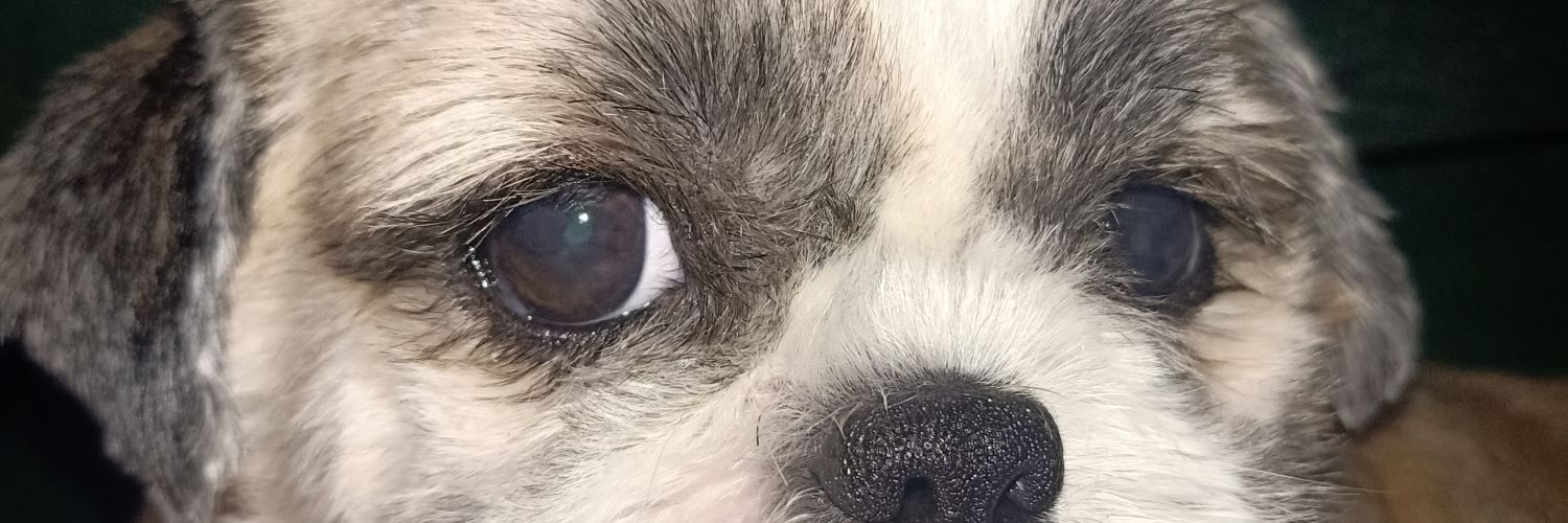 vheezry's profile banner image