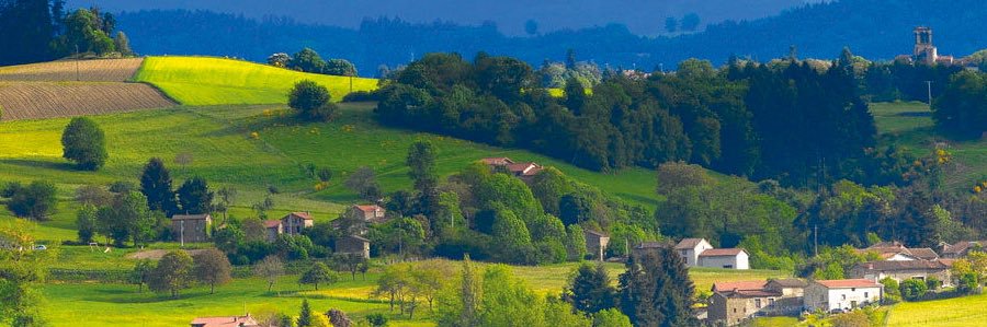 sduchet's profile banner image
