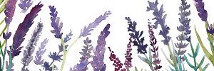 fatehalokman's profile banner image
