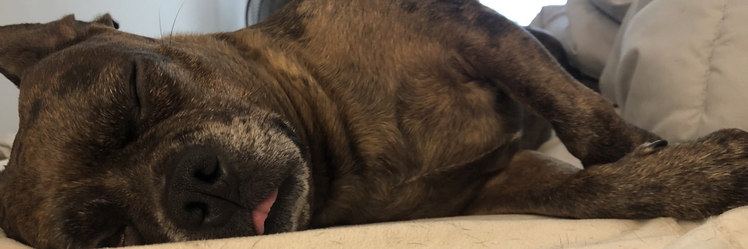 Lamar Scrotum banner