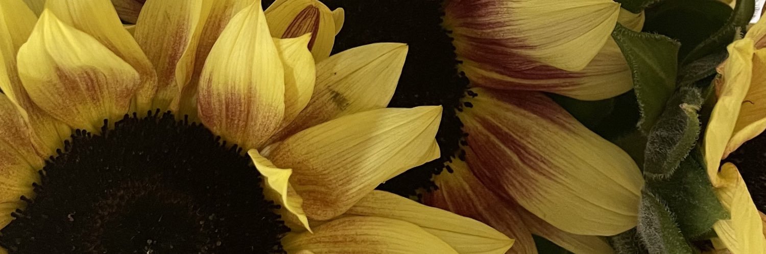M__itha's profile banner image