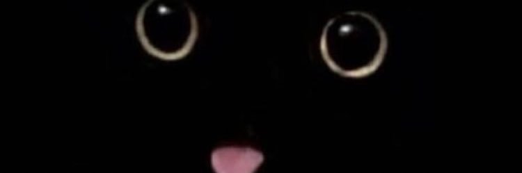 snandier's profile banner image