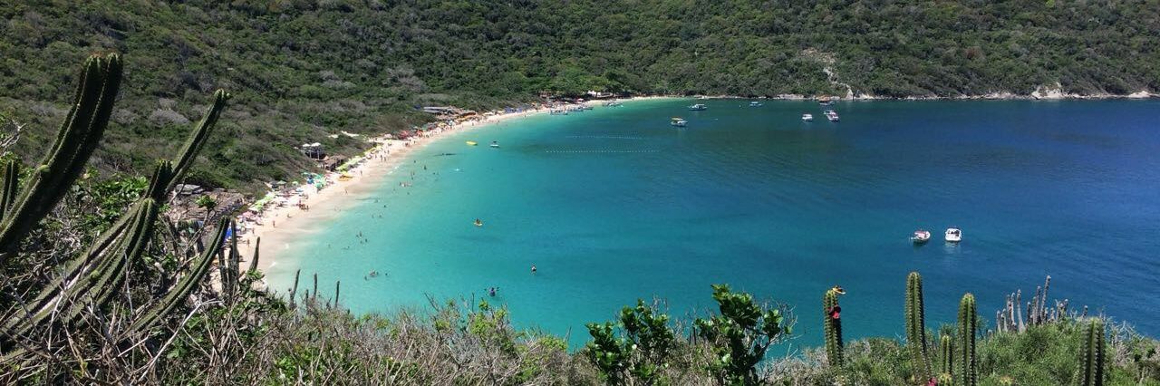 Daniel Fernandes  banner