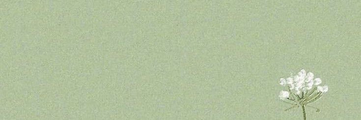 baektairs's profile banner image